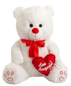 50cm Teddy Bear
