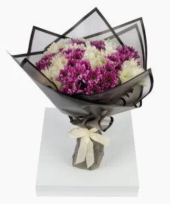 20 Purple & White Chrysanthemums