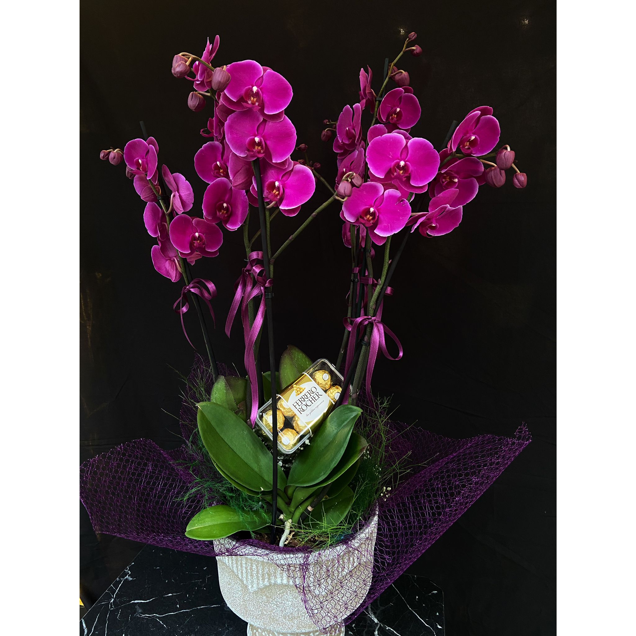 3-Purple-Orchid.jpg