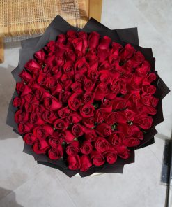 VIP 101 Red Roses V3