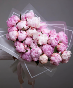25 Pink Peony