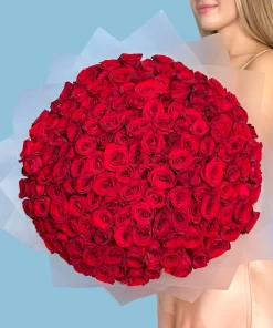 VIP 151 Red Roses