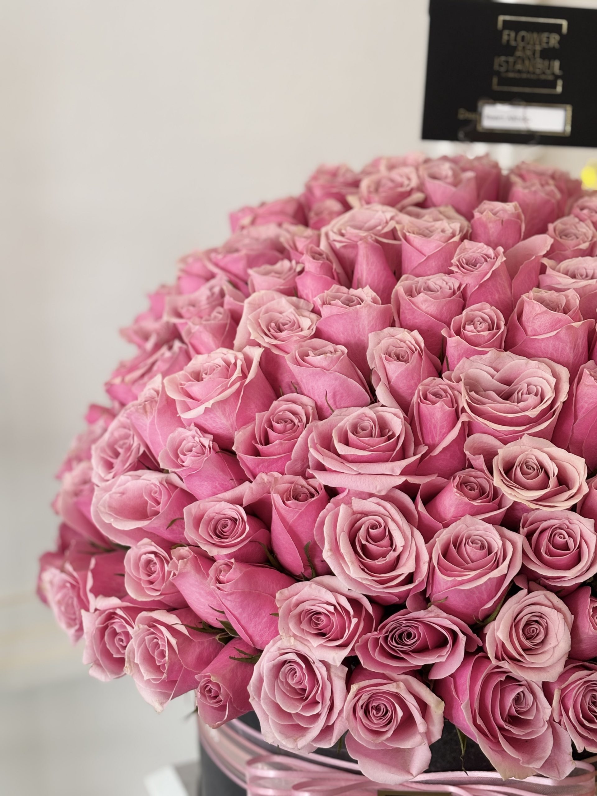 201-Pink-Roses-3-scaled-1.jpg