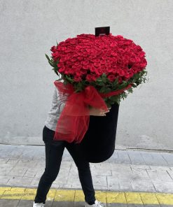 301 Red Roses Deluxe Alcyoneus